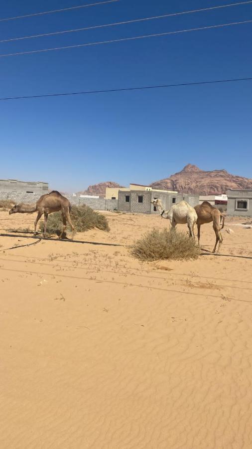 WadiRum Star Planet albasli Wadi Rum Exterior foto