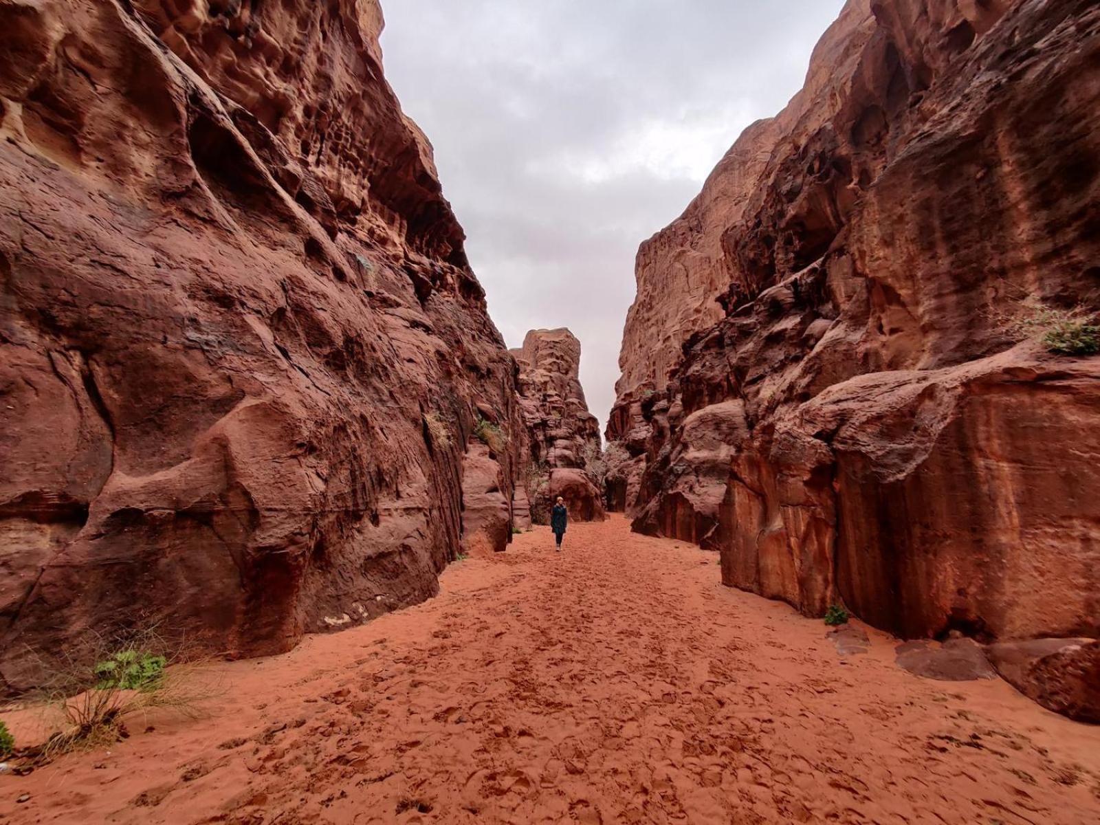 WadiRum Star Planet albasli Wadi Rum Exterior foto